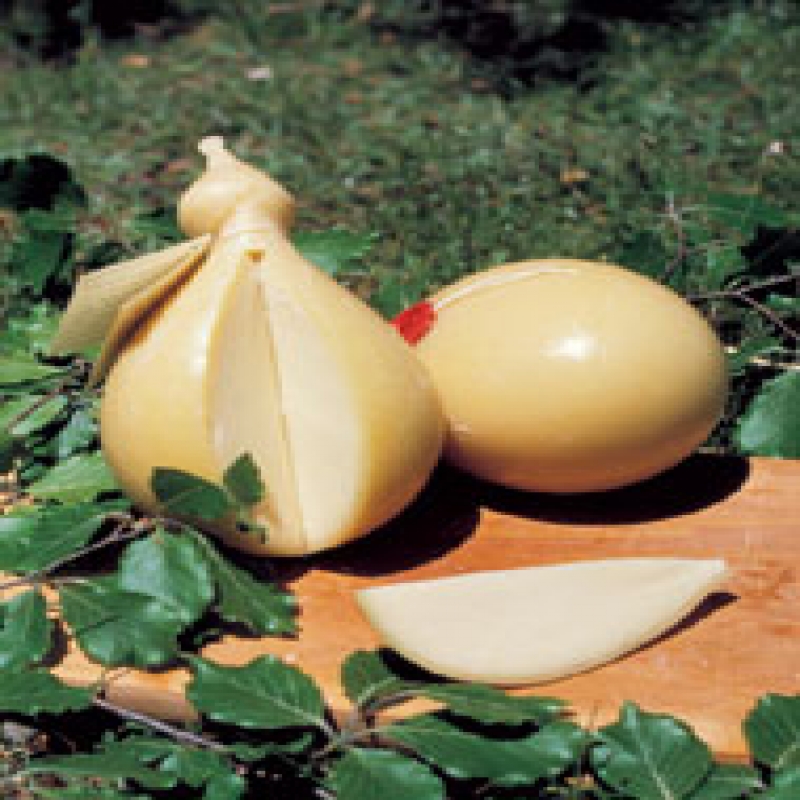 Provola dei Nebrodi Kg. 1,200 ca