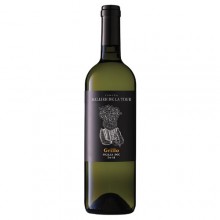 Grillo Sallier de la Tour 2020 Bianco