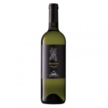 Inzolia Sallier de la Tour 2020 Bianco