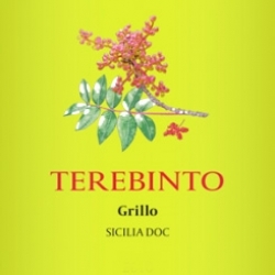 Terebinto Grillo Planeta