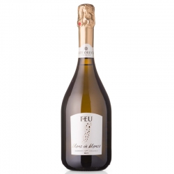 Feu Tenute Orestiadi
