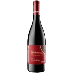 Il Manto Rallo 2019 lt.0,75