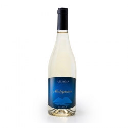 Antichi Vinai Meligunis Malvasia IGT Salina 2019 White