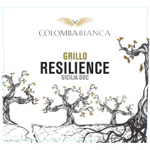 Resilience Grillo Colomba Bianca 2023 Bianco