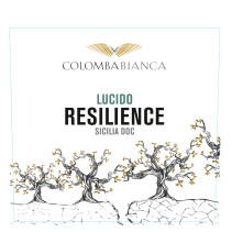 Colomba Bianca Resilience Lucido Sicilia Doc 2023 White