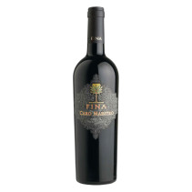 Caro Maestro Cantine Fina 2018 Rosso