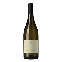 Alessandro di Camporeale Monreale Bianco Monreale Doc 2023 White