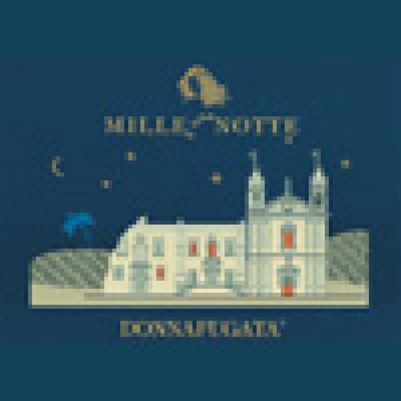 Mille e una notte MAGNUM 2016 Donnafugata lt.1,5