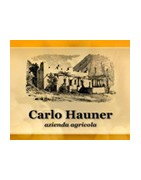 Hauner